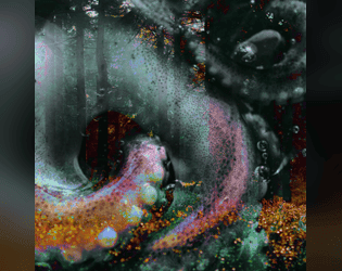 Echoes Beneath the Marsh